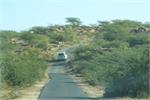 road to kala dungar